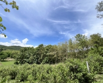ขายที่ดิน โฉนดครุฑแดง (เจ้าของขายเอง) ที่บ้านหนองฟ้าแลบ อ.ด่านซ้าย