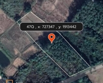 ขายที่ดิน โฉนดครุฑแดง (เจ้าของขายเอง) ที่บ้านหนองฟ้าแลบ อ.ด่านซ้าย