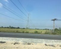 ขนาดที่ดิน 9 ไร่ ตั้งอยู่ที่ ตำบลสากเหล็ก จังหวัดพิจิตร