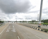 ขายที่ดินเปล่า ต.บ่อวิน อ.ศรีราชา จ.ชลบุรี ผังสีม่วงลาย: 9-1-21.8