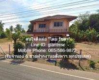 ขายบ้าน ค.ส.ล. 2 ชั้น อ.โนนนารายณ์ จ.สุรินทร์ 1-3-63 ไร่ (300 ตร.