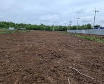 ขายที่ดิน ซอย15_1 คลอง 3 ถนนเรียบคลองสาม ปทุมธานี