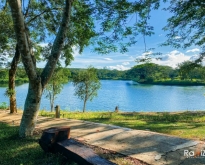 ขายที่ดินจัดสรร โครงการแรปบิช ฮิลส์ รีสอร์ท เนื้อที่ 208 ตร.ว