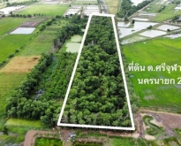 ขายที่ดิน ที่ดิน ศรีจุฬา อ.เมือง จ. นครนายก