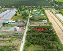 ขายที่ดิน ซอยมีทรัพย์ คลอง 10 ต. หนองสามวัง หนองเสือ ปทุมธานี