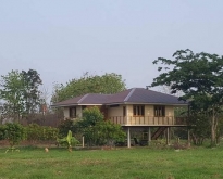 ที่ดินแถมบ้าน 2 ชั้น 2 ไร่ 105 ตร.ว อ.ทับคล้อ จ.พิจิตร