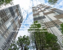 ขาย/ให้เช่าคอนโดหรูระดับไฮเอนด์ “พาร์ค ออริจิ้น พร้อมพงษ์” 95.55