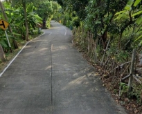 ที่ดินในคุ้งบางกระเจ้า มีให้เลือกหลายแปลง พื้นที่อากาศดี 08130369