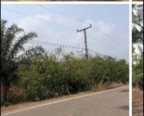 ขายที่ดินภ.บ.ท.รวมเนื้อที่20 ไร่พร้อมสวนปาล์ม ขุดสระน้ำไว้แล้ว