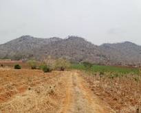 อสังหาเอาใจลูกค้าทุกเงื่อนไข ที่ติดภูเขา อ.เมือง จ.นตรสวรรค์