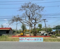 ขายถูก ที่ดินเปล่า ต.สันโป่ง อ.แม่ริม จ.เชียงใหม่