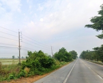 ขายที่ดินตรงข้ามนิคมอุตสาหกรรมพิจิตร  ต.หนองหลุม อ.วชิรบารมี  จ.พ