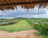 ขายที่ จำนวน 1 ไร่ โฉนดครุฑแดง นส 4 จ  จ.กาญจนบุรี