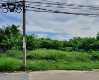 ที่ดินเปล่า ซ.หมู่บ้านศิริเขต 1: 0-2-22 ไร่ กว้าง 24 ม. ลึก 37 ม.