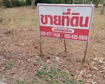 ขายที่ดิน ใกล้ทะเล หาดมหาราช อ.สทิงพระ จ.สงขลา