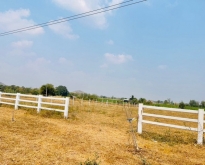 ขายที่ดิน อ.เลาขวัญ  จ.กาญจนบุรี