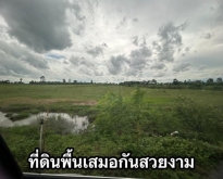 ขายที่ดินสระแก้ว อำเภอวัฒนานคร ตำบลช่องกุ่ม