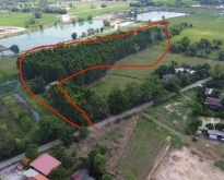 ขายที่ดิน บ้านหนองโพธิ์-สบกเขียว