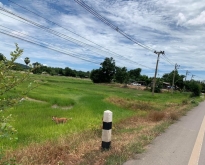 ขายที่ดินโฉนดเเปลงเล็ก ติดถนนลาดยาง อ.พนมทวน จ.กาญจนบุรี
