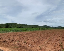 ขายด่วน ที่ดินสวยราคาถูก  อำเภอพนมทวน จังหวัดกาญจนบุรี