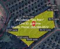 ขายที่ดินสวนลำไย ต.ขุนคง อ.หางดง จ.เชียงใหม่ (น.ส.4 จ) 2 ไร่, 2.5