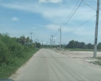 ขายที่ดินหนองบอนแดง ชลบุรี