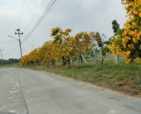 ขายที่ดิน อำเภอ อู่ทอง จังหวัด สุพรรณบุรี เนื้อที่ 3 ไร่ โฉนดครุฑ