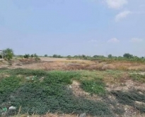 ขายที่ดิน 7 ไร่ เหมาะทำหมู่บ้านจัดสรร พานทอง บางนาง ชลบุรี