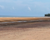ทำเลดีงามเจ้าของเสนอเงื่อนไขพิเศษสุดๆ หาดฝั่งแดง ไร่ล่ะ3.5 ล้านบา