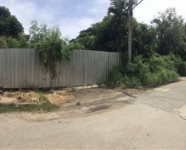 ขายที่ดินแปลงสวย ซอยราชวินิตบางแก้ว ขนาด 288 ตร.ว. ใกล้เมกาบางนา