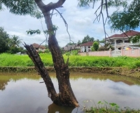 ขายที่ดินติดน้ำ ในโครงการ 263.8 ตร.ว. ใกล้ถนนวงแหวนรอบสาม อ.ดอยสะเก็ด