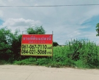 ขายที่ดิน  2-2-12.9 ไร่  วัดไทรย์  เมืองนครสวรรค์