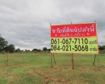 ขายที่ดิน 6-3-29.9 ไร่  ต.แควใหญ่ อ.เมือง จ. นครสวรรค์