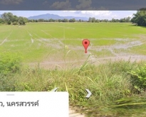 ขายที่ดินตำบลเนินกว้าว อำเภอโกรกพระ จังหวัดนครสวรรค์