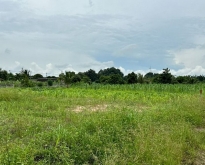 ขายที่ดินหนองเสือช้าง หนองใหญ่ ชลบุรี