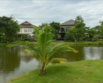 ขายที่ดินติดคลองลำตะคองแอ่งน้ำตกขนาดกว้าง เขาใหญ่ปากช่อง 08130369