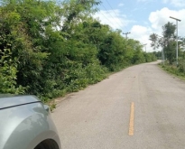 ขายที่ดิน ที่ดิน ต.เกาะคา  อ.เกาะคา  จ.ลำปาง