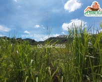 ที่ดินใกล้สนามกอล์ฟปากช่องไฮแลนด์ อำเภอปากช่อง นครราชสีมา