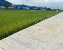 ขายที่ดิน 5 – 10 ไร่   อ.เมือง ฉะเชิงเทรา  ผังสีม่วงจุดสีขาว