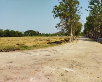 BL151 ขายที่ดิน – หนองเสือ, คลอง 7 ขนาด: ประมาณ 10 ไร่