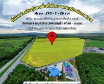 ขายที่ดินหนองเสือช้าง หนองใหญ่ ชลบุรี