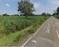 ขายด่วน!! ถูกมาก ที่ดินไร่อ้อย แปลงสวย หน้าติดถนนดำ อ.เมืองบุรีรั