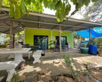 ขายบ้านพร้อมที่ดินในพื้นที่นาวังหิน