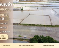 ขายด่วน ที่ดินเปล่า 19-1-81 ไร่ บางโรง คลองเขื่อน ฉะเชิงเทรา