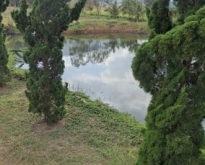 ขายที่ดินสวย บรรยากาศดี ต. หนองบัว อ. ภูเรือ จ.เลย
