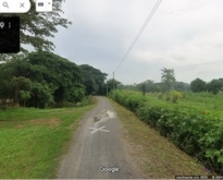 ที่ดินเปล่า เนื้อที่ 6-3-51.3 ไร่ ปราณบุรี จ.ประจวบคีรีขันธ์