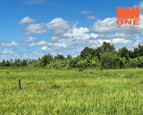 ขายที่ดินเปล่า 50 ตร.ว. ติดมหาวิทยาลัยพิษณุโลก สมอแข พิษณุโลก