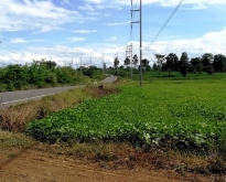 ขายที่ดิน  ต.ลาดแค อ.ชนแดน จ.เพชรบูรณ์
