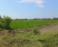 ขายที่ดิน ถมเเล้ว ราคาถูกๆ /หน้าติดสาธารณะ/ด้านข้างติดลำคลองคูน้ำ
