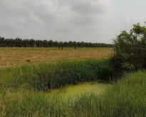 ขายที่ดินสวย  ต.คลองสิบ อ.หนองจอก